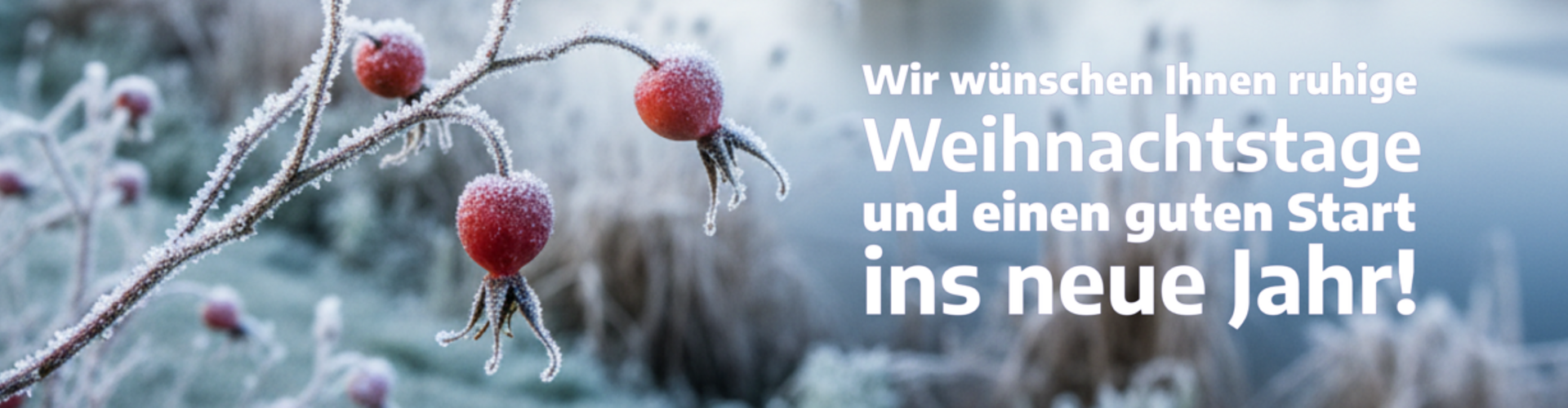 slider weihnachten 2025 neujahr 2026