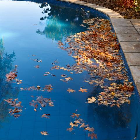Poolwasserentsorgung